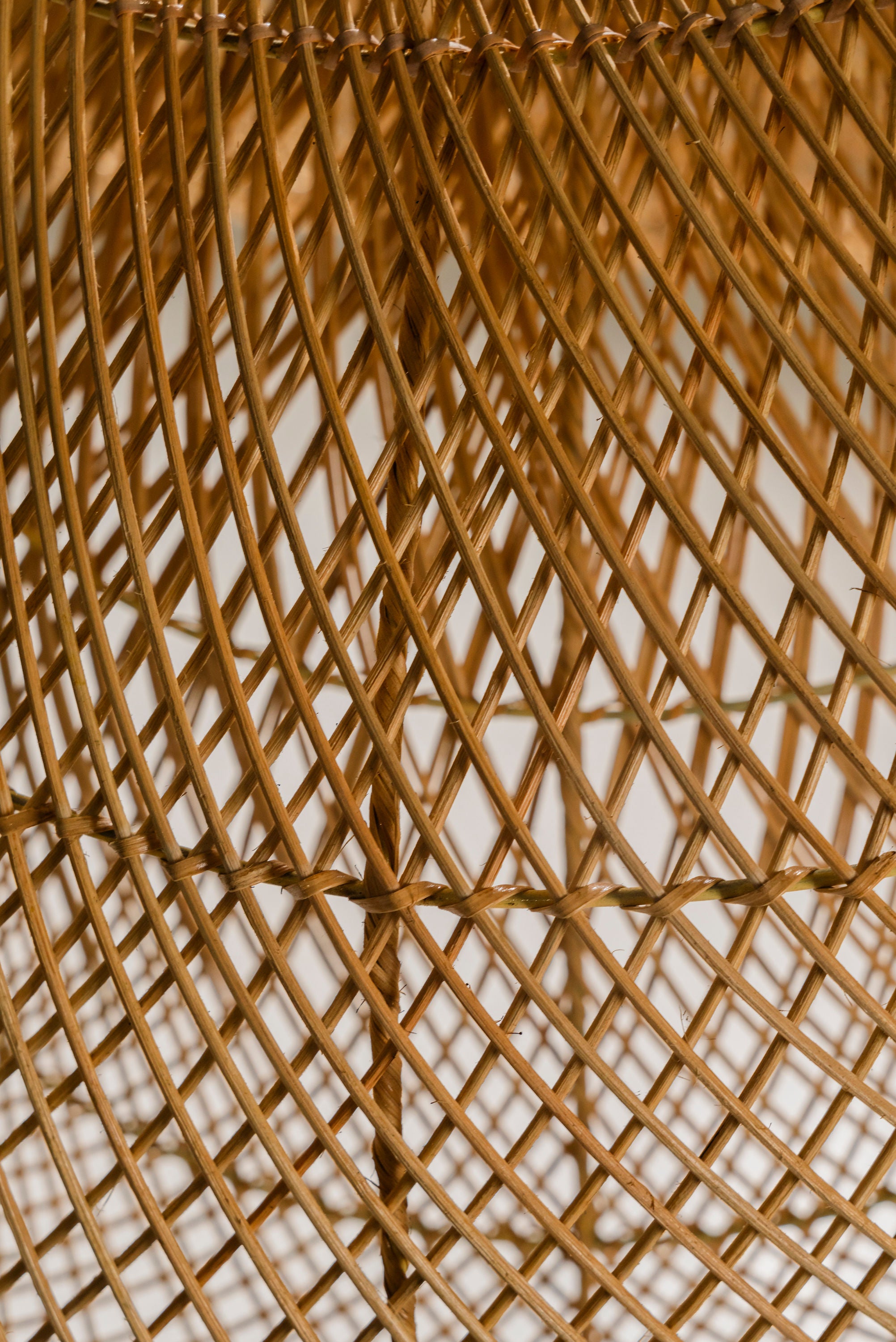 Komodo